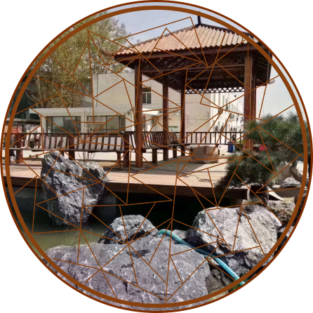 星空综合体育app下载